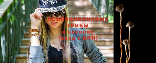гашик Армянск